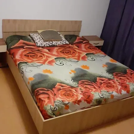 Mutlu Apartment *